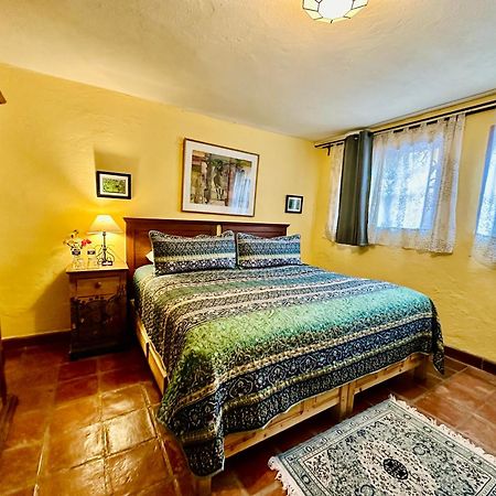 Boutique Hotel Casa Camellia 산미겔데아옌데 외부 사진