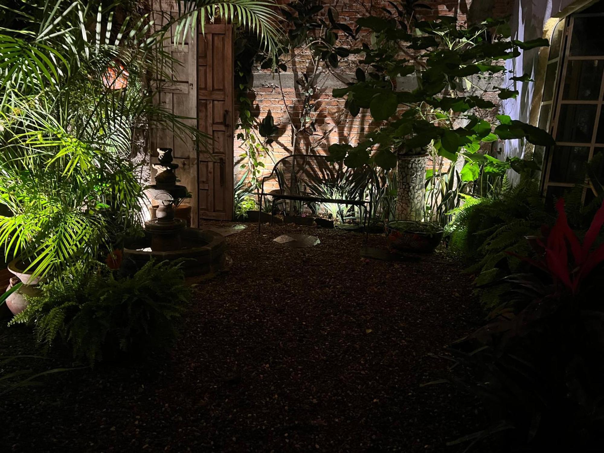 Boutique Hotel Casa Camellia 산미겔데아옌데 외부 사진