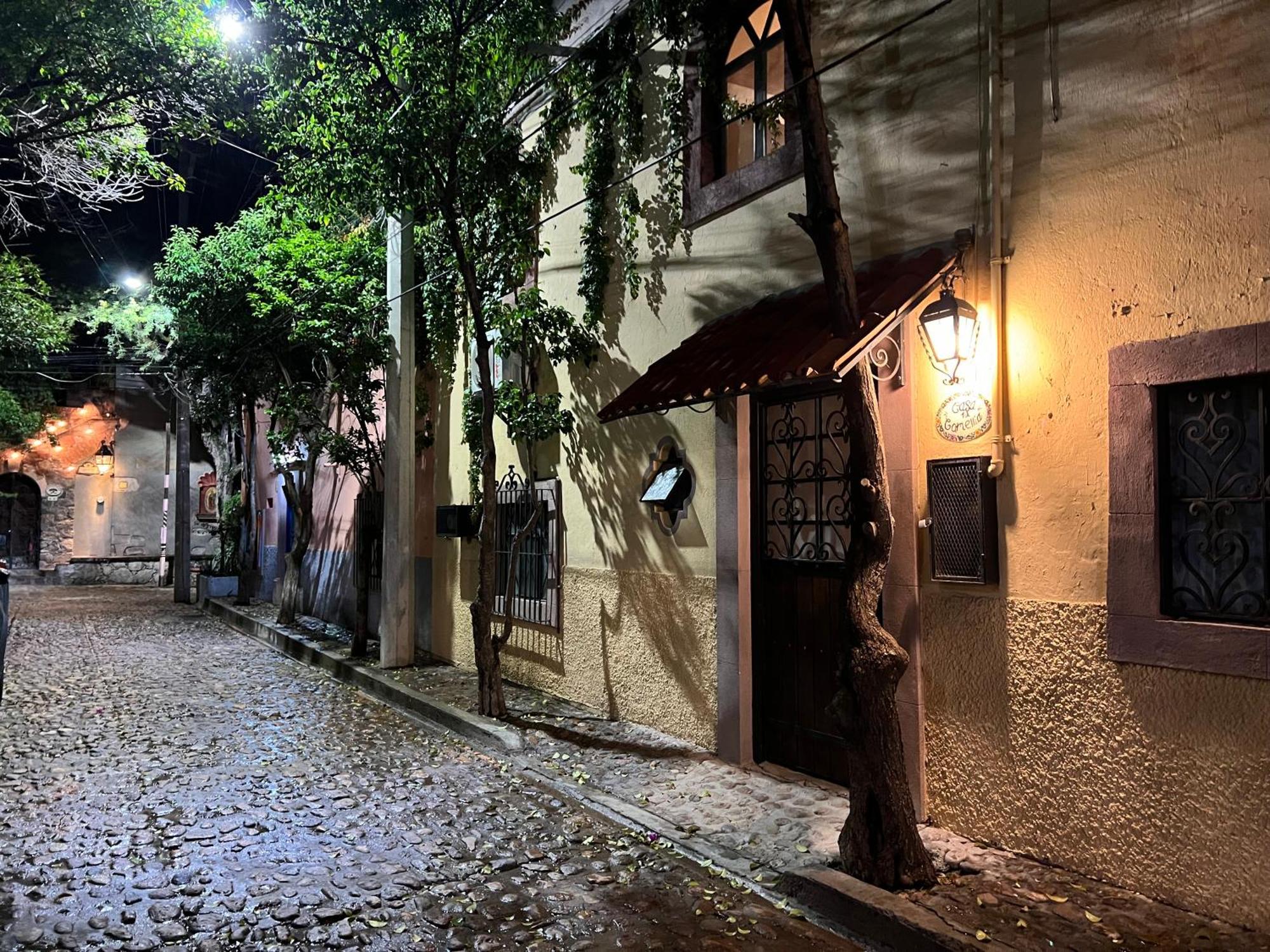 Boutique Hotel Casa Camellia 산미겔데아옌데 외부 사진