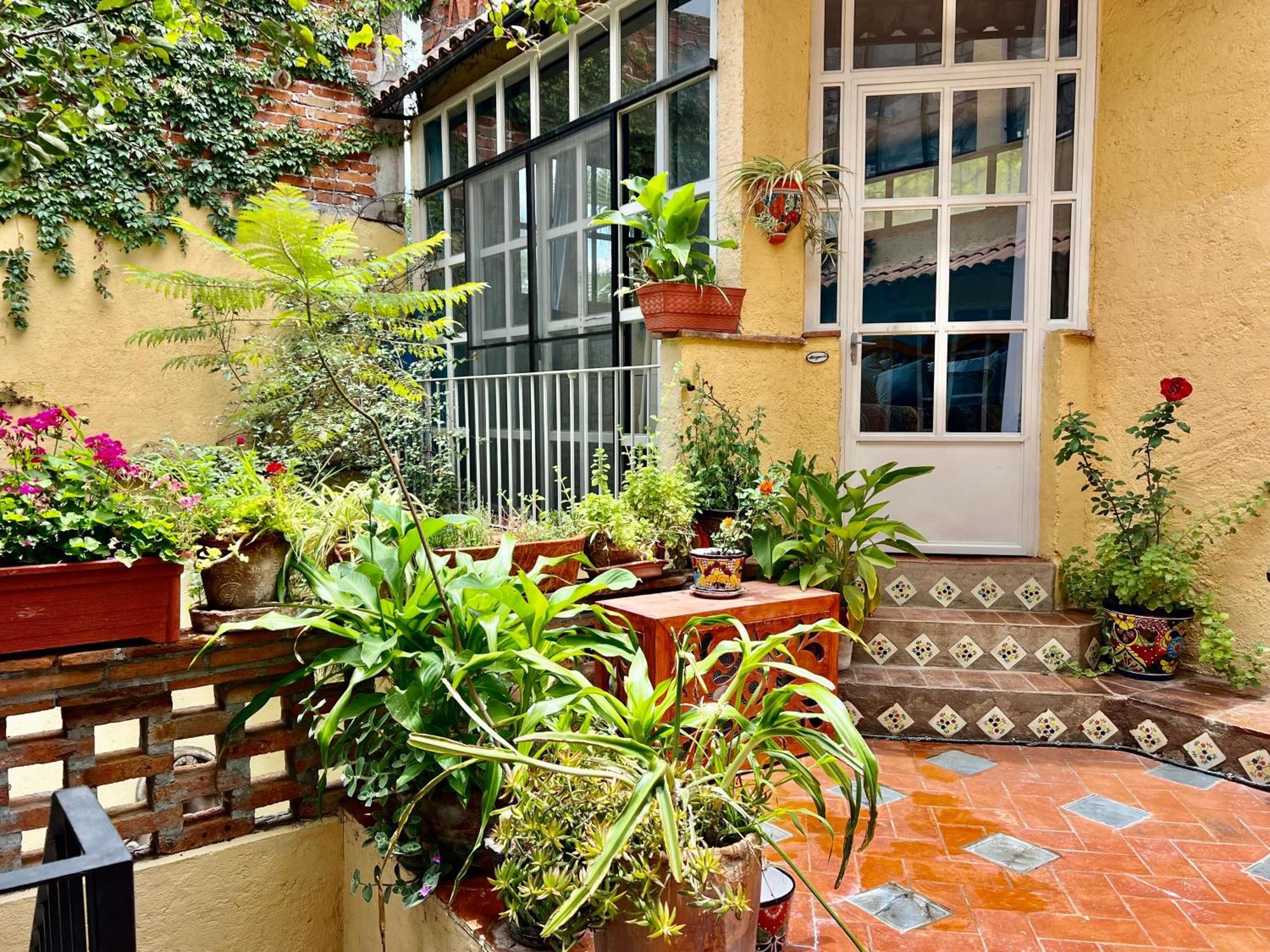 Boutique Hotel Casa Camellia 산미겔데아옌데 외부 사진