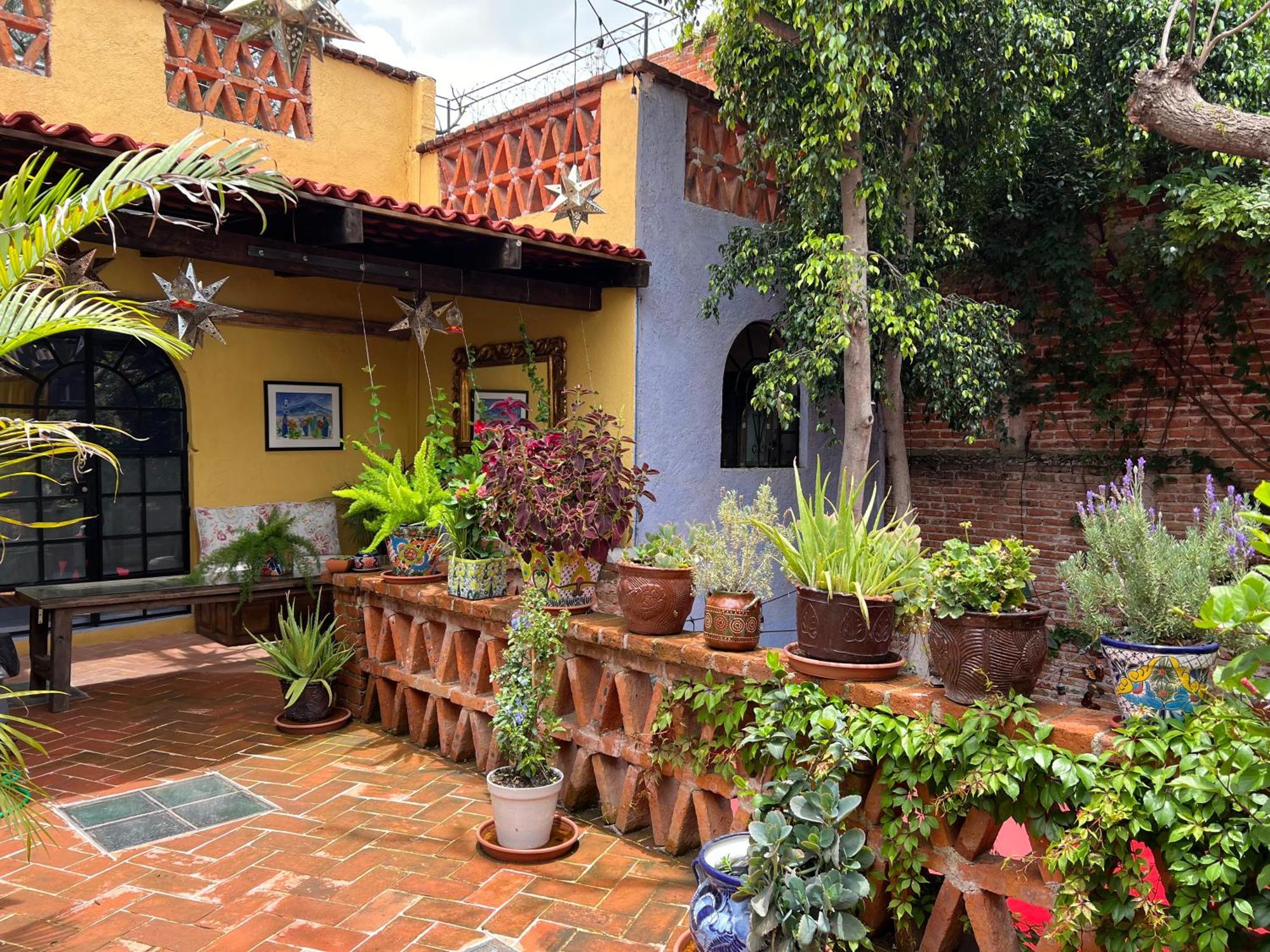 Boutique Hotel Casa Camellia 산미겔데아옌데 외부 사진