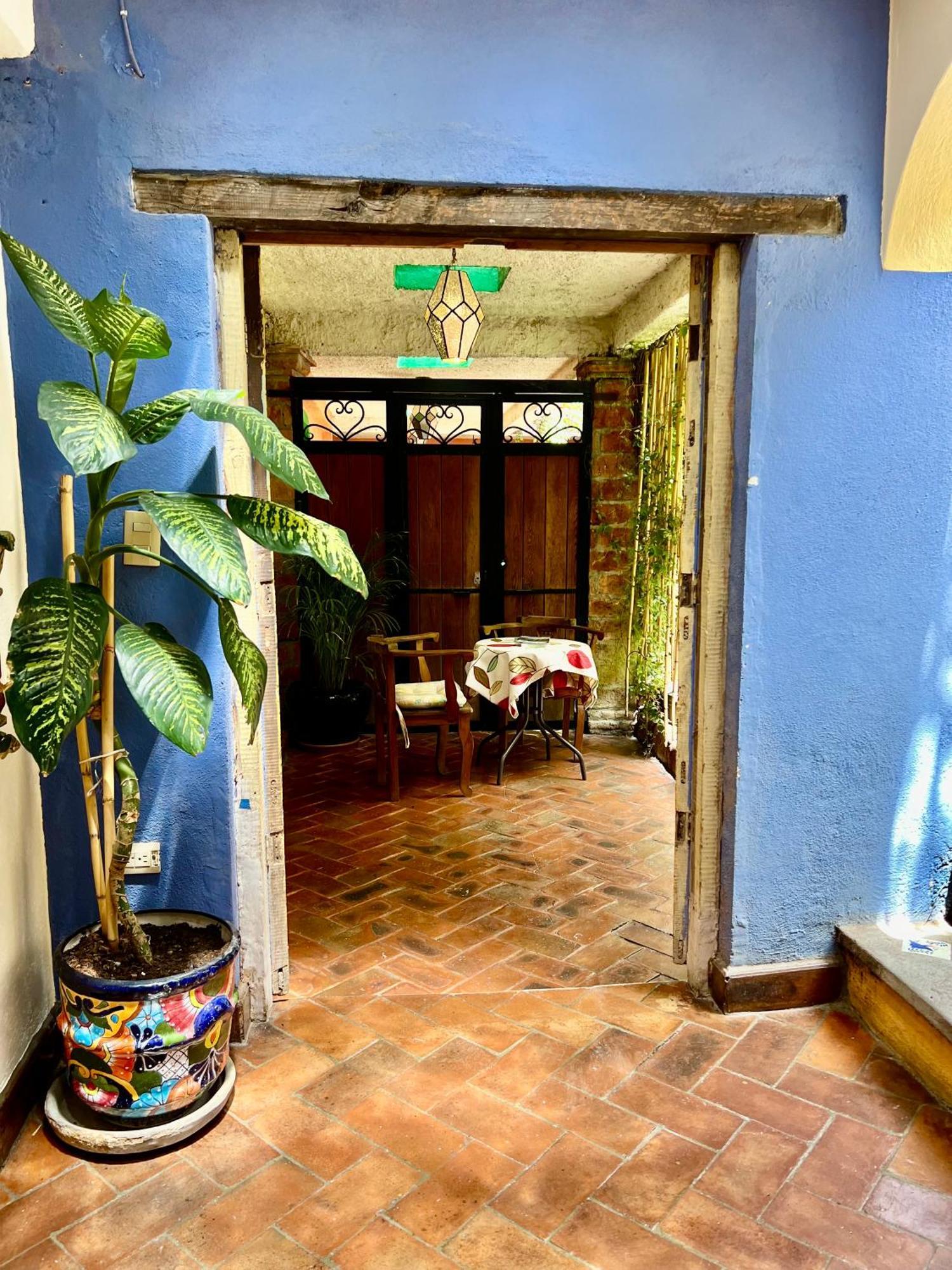 Boutique Hotel Casa Camellia 산미겔데아옌데 외부 사진